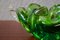 Bol en Verre de Murano Vert et Transparent 2
