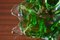 Ciotola in vetro di Murano verde e trasparente, Immagine 11