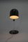 Lampe de Bureau Flexible attribuée à Napako, 1960s 5
