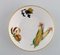 England Evesham Porcelain Bowls with Fruits from Royal Worcester, 1980s, Set of 8 2