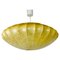 Mid-Century Modern Saucer Cocoon Pendant Lamp, 1960s 1