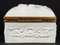 19th Century Limoges Biscuit Jewelry Box 5
