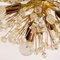 Mid-Century Austrian Brass and Crystal Chandelier attributed to E. Stejnar for Rupert Nikoll, 1950s 4