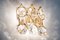 Gilt Brass and Crystal Wall Lights from Palwa, Germany, 1960s, Set of 2 10