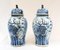 Chinese Blue and White Porcelain Ginger Vases, Set of 2 1