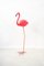 Garden Flamingo in Iron and Plastic, 2010s 3