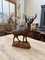 Large Sculpted Deer, 1950s, Image 1
