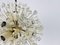 Glass and Brass Sputnik Chandelier attributed to Emil Stejnar for Rupert Nikoll, 1960s 10