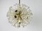 Glass and Brass Sputnik Chandelier attributed to Emil Stejnar for Rupert Nikoll, 1960s 3