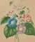Edouard Maubert, Viktorianischer Blumenstrauß, Radierung, 19. Jh. 3