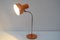 Lampe de Bureau Ajustable Mid-Century, 1970s 3