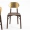 Gold Leaf Bokken Chair in Beech Structure by Colé Italia 3