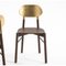 Gold Leaf Bokken Chair in Beech Structure by Colé Italia, Image 3