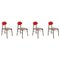 Red Bokken Chairs in Beech Structure by Colé Italia, Set of 4 1