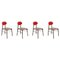 Rote Bokken Stühle mit Gestell aus Buchenholz von Colé Italia, 4 . Set 1