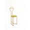 Joly Chairdrobe in Gold with High Back and Chartreuse Velvet by Colé Italia 3