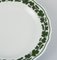 Meissen Hand-Painted Porcelai Green Ivy Vine Plates, 1940s, Set of 6 3