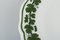 Meissen Hand-Painted Porcelai Green Ivy Vine Plates, 1940s, Set of 6, Image 4