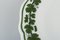 Platos de vid Meissen de porcelana en verde Ivy, años 40. Juego de 6, Imagen 4