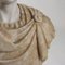 Römischer Kaiser Büste aus weißem Marmor und blumigem Alabaster 6
