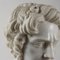 Busto di imperatore romano in marmo bianco e alabastro fiorito, Immagine 5