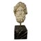 20th Century Greek Head Bust in Hand-Carved Marble 1