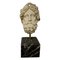 Buste de Tête à la Grecque, 20ème Siècle en Marbre Sculpté à la Main 1