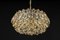 Gilt Brass Chandelier attributed to Palwa Sciolari Germany, 1970s, Image 13