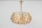 Gilt Brass Chandelier attributed to Palwa Sciolari Germany, 1970s 8