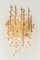 Large Gilded Brass and Crystal Sconce in the style of Sciolari Palwa, Germany, 1960s 7