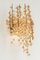 Large Gilded Brass and Crystal Sconce in the style of Sciolari Palwa, Germany, 1960s, Image 8