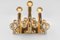 Vergoldete Messing Kristall Wandlampen im Stil von Sciolari Palwa, Deutschland, 1960er, 2 . Set 5