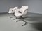 Scimitar Chairs attributed to Boris Tabacoff for MMM, 1960s, Set of 2 2