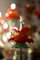 Murano Glas Kronleuchter im Rezzonico-Stil, 19. Jh. mit roten Rosen 12