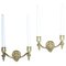 20th Century Lion Wall Sconces in Gilt Brass, Set of 2 1
