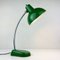 Lampe de Bureau Industrielle en Métal Vert par A.Perazzone Torino, Italie, 1960s 9