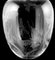 Large Art Nouveau Style Crystal Vase Engraved with Butterflies and Dragonflies, 1982, Image 9
