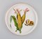 Round Porcelain Dishes with Corn Cobs from Royal Worcester, England, 1960s, Set of 6 2