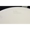White Artichoke Lamp by Poul Henningsen for Louis Poulsen 10