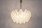 Large Tulipan Glass Chandelier attributed to Kalmar, Austria, 1960s, Image 9
