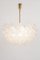 Large Tulipan Glass Chandelier attributed to Kalmar, Austria, 1960s, Image 14