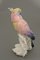Statuina Bird in porcellana di Johann Karl Ens, Germania, Immagine 3