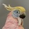 Figurine Oiseau en Porcelaine par Johann Karl Ens, Allemagne 8