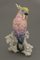 Figurine Oiseau en Porcelaine par Johann Karl Ens, Allemagne 1