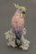 Porcelain Bird Figurine by Johann Karl Ens, Germany 1