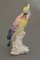 Statuina Bird in porcellana di Johann Karl Ens, Germania, Immagine 5