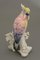 Figurine Oiseau en Porcelaine par Johann Karl Ens, Allemagne 4