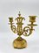 Neoklassischer Kerzenständer aus Vergoldeter Bronze, 1900 9