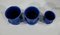 Blue Service in Choisy-Le-Roy Earthenware, Set of 5, Image 15