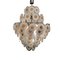 Italian Chandelier from Casa Mazzega, 1960s, Image 1